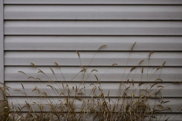 House with exterior siding.